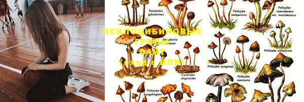 apvp Лиски