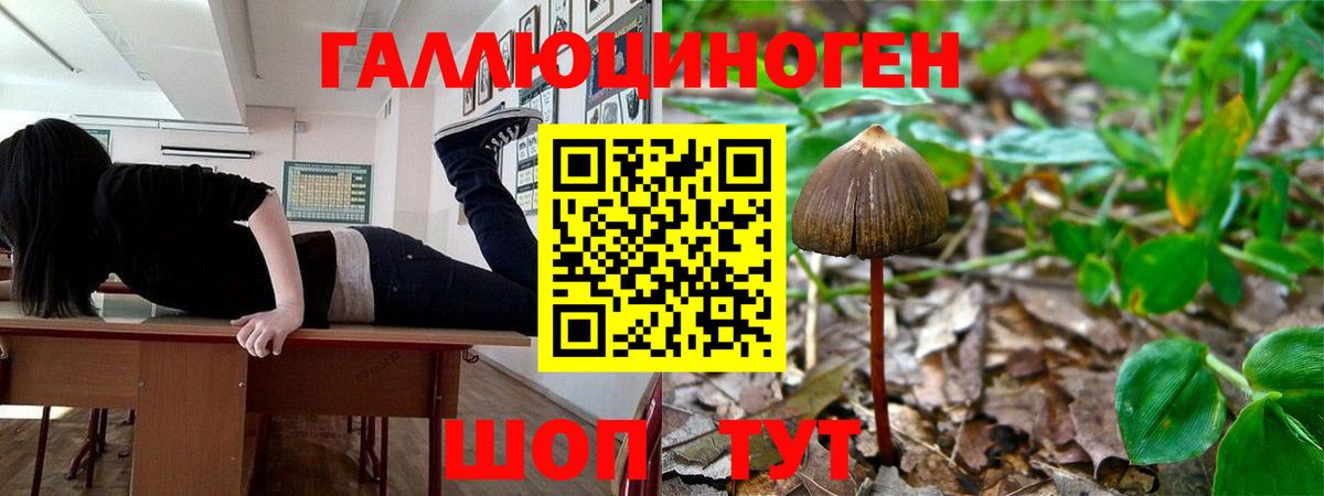 Галлюциногенные грибы MAGIC MUSHROOMS  Вход с VPN  Строитель  где найти наркотики  Галлюциногенные грибы Magic Shrooms 