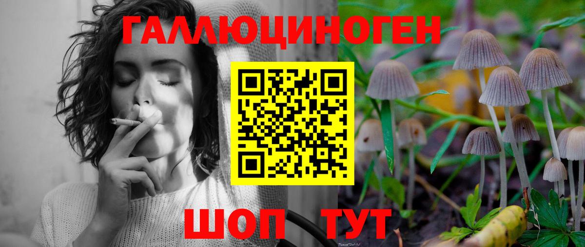 Псилоцибиновые грибы Cubensis Строитель